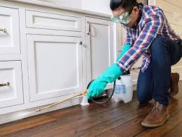 Best Pest Prevention Services  in Laurium, MI