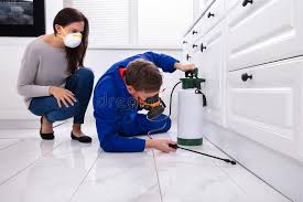 Best Fumigation Services  in Laurium, MI